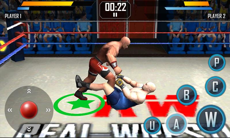 Real Wrestling 3d pc