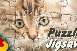 Jigsaw Puzzle HD – best free family adult games for Windows 10/ 8/ 7 or Mac